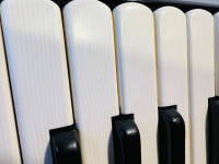 /album/galeria-de-fotos-scandalli-80-baixos/571775598-3765034006965110-4179595825993369630-n-jpg/