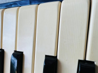 /album/galeria-de-fotos-todeschini-80-baixos1/584863298-3788569171278260-8486650336634631289-n-jpg/