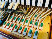 /album/galeria-de-fotos-crucianelli-120-baixos/597470403-3809203095881534-4601674748352527846-n-jpg/