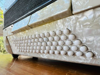 /album/galeria-de-fotos-todeskini-80-baixos/656532407-3928563707278805-4732640096173492291-n-jpg/