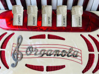 /album/galeria-de-fotos-organola-120-baixos/667937930-3943729869095522-3498701049934256179-n-jpg/